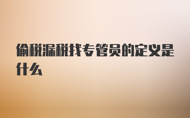 偷税漏税找专管员的定义是什么