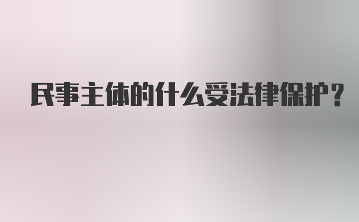 民事主体的什么受法律保护？