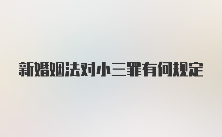 新婚姻法对小三罪有何规定