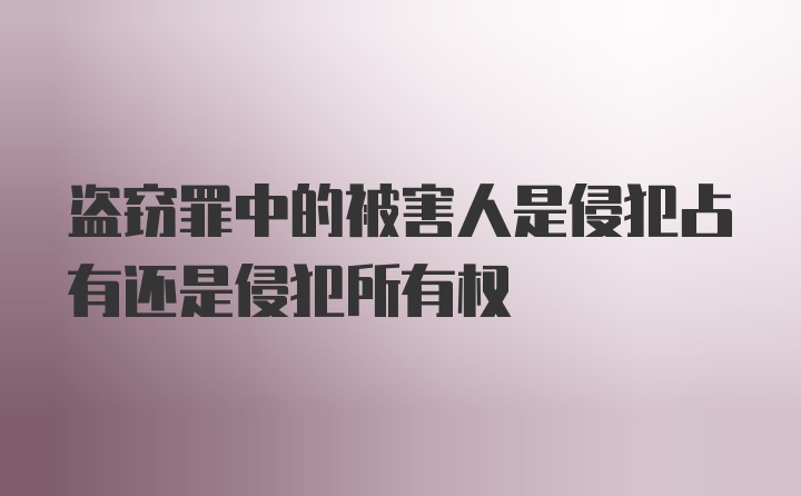 盗窃罪中的被害人是侵犯占有还是侵犯所有权