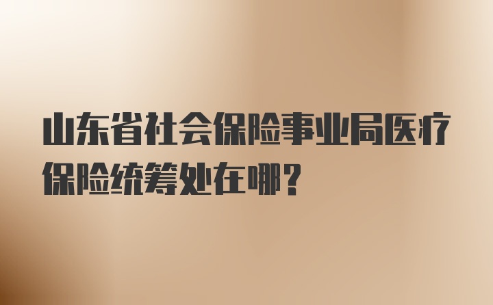 山东省社会保险事业局医疗保险统筹处在哪？