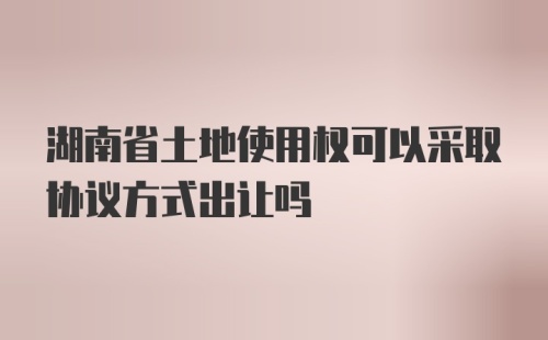 湖南省土地使用权可以采取协议方式出让吗