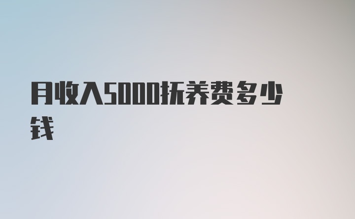 月收入5000抚养费多少钱