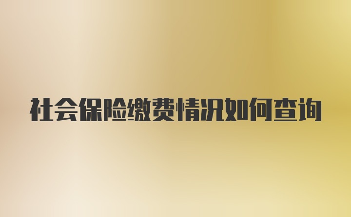 社会保险缴费情况如何查询