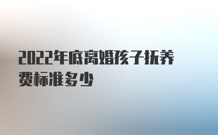 2022年底离婚孩子抚养费标准多少