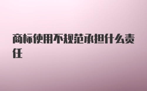 商标使用不规范承担什么责任