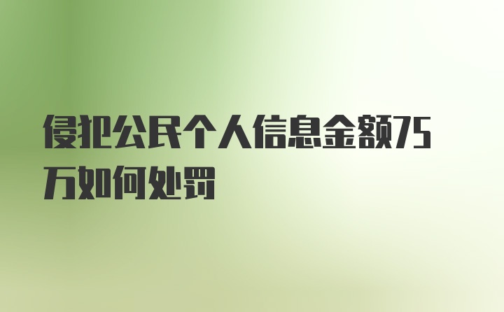 侵犯公民个人信息金额75万如何处罚