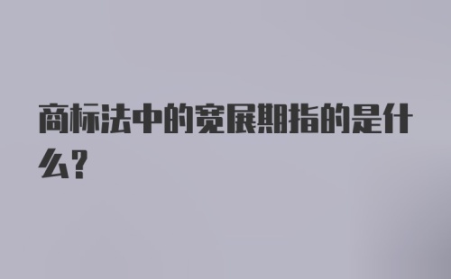 商标法中的宽展期指的是什么？