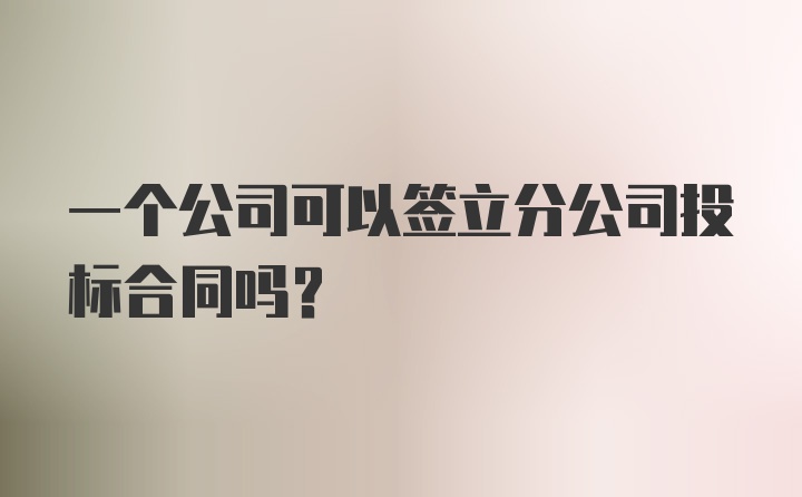 一个公司可以签立分公司投标合同吗?