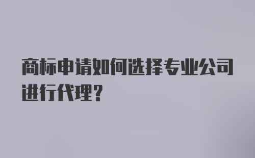 商标申请如何选择专业公司进行代理？