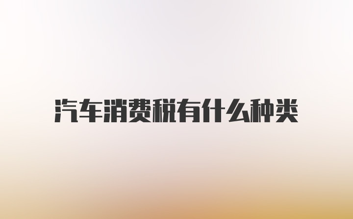 汽车消费税有什么种类