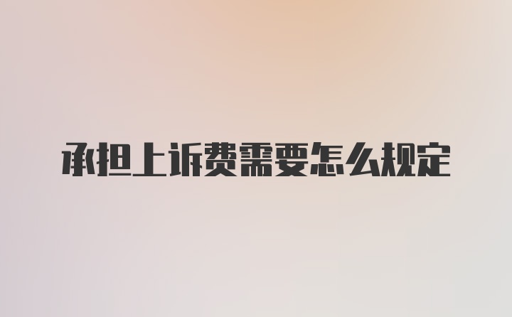 承担上诉费需要怎么规定