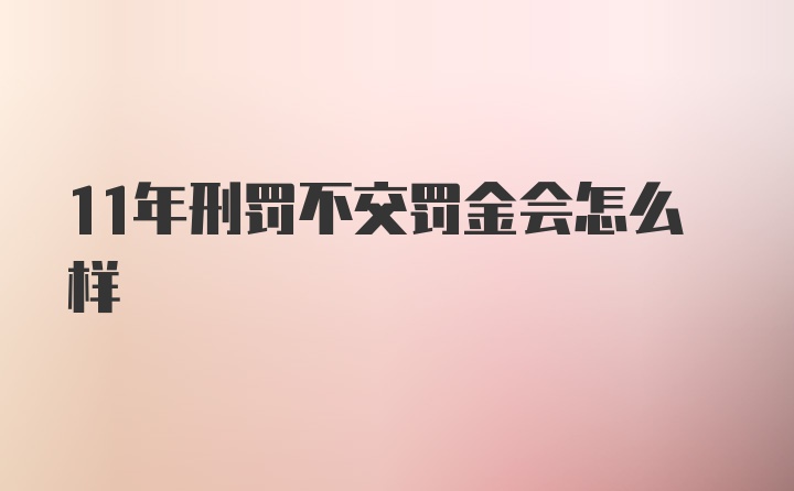 11年刑罚不交罚金会怎么样