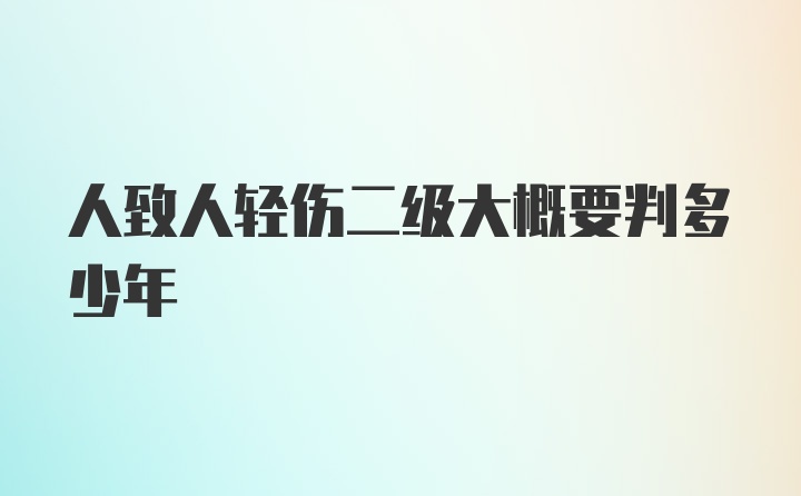 人致人轻伤二级大概要判多少年