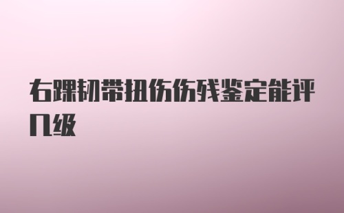 右踝韧带扭伤伤残鉴定能评几级