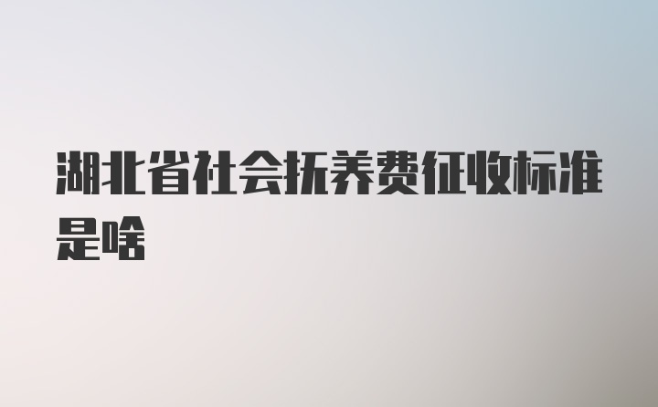 湖北省社会抚养费征收标准是啥