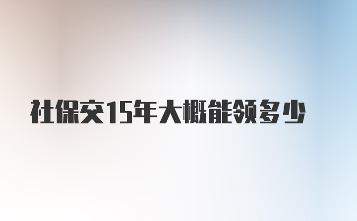 社保交15年大概能领多少