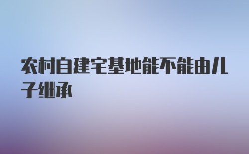 农村自建宅基地能不能由儿子继承