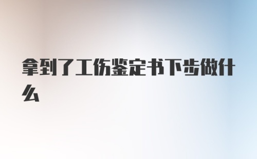 拿到了工伤鉴定书下步做什么