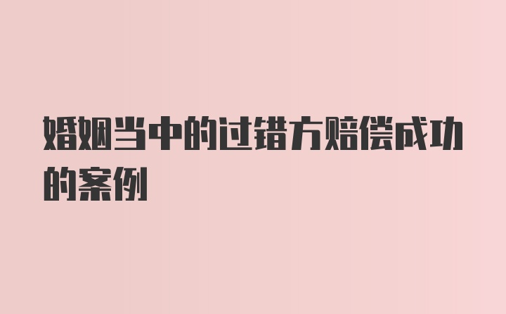 婚姻当中的过错方赔偿成功的案例