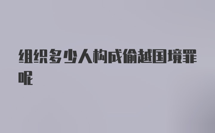 组织多少人构成偷越国境罪呢