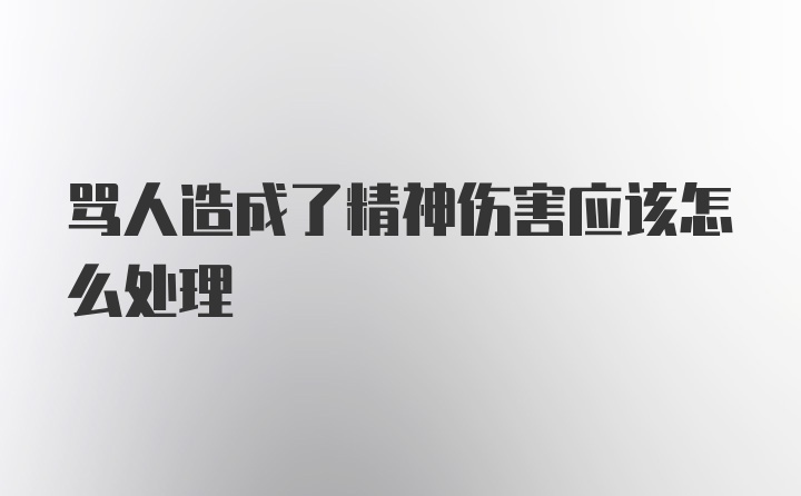 骂人造成了精神伤害应该怎么处理