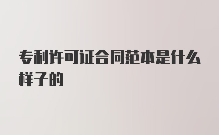 专利许可证合同范本是什么样子的