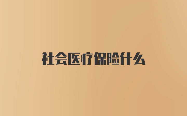 社会医疗保险什么