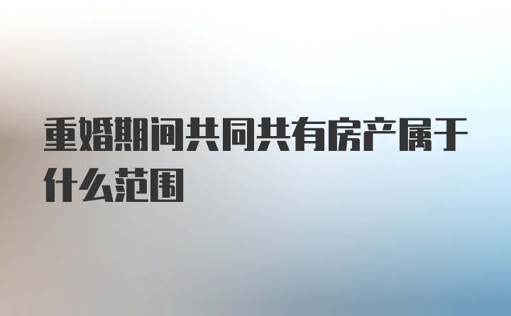 重婚期间共同共有房产属于什么范围