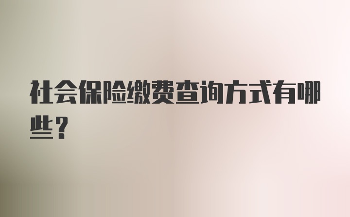 社会保险缴费查询方式有哪些？