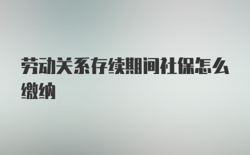 劳动关系存续期间社保怎么缴纳