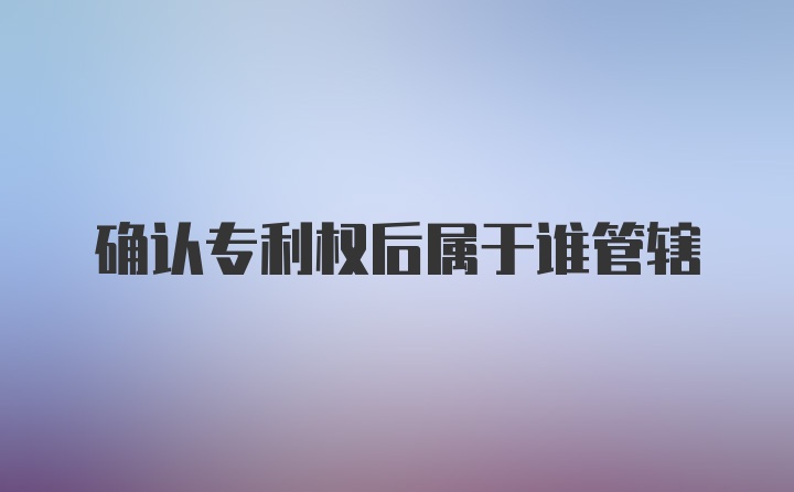 确认专利权后属于谁管辖