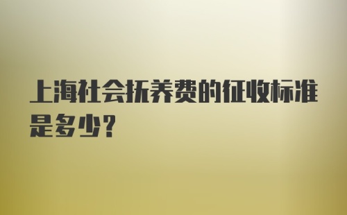 上海社会抚养费的征收标准是多少？