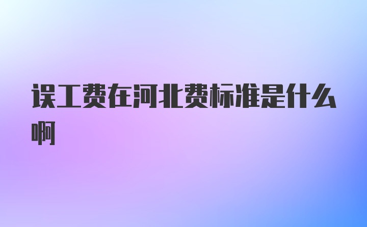 误工费在河北费标准是什么啊