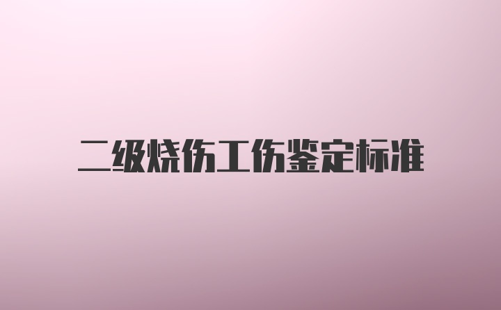 二级烧伤工伤鉴定标准