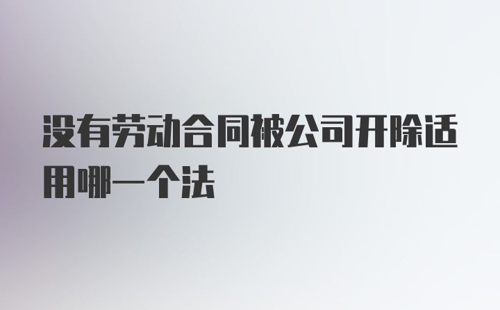 没有劳动合同被公司开除适用哪一个法