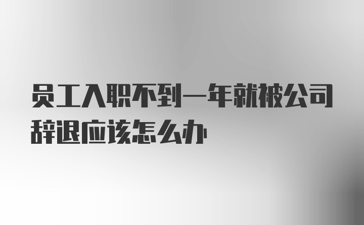 员工入职不到一年就被公司辞退应该怎么办