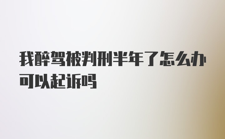 我醉驾被判刑半年了怎么办可以起诉吗