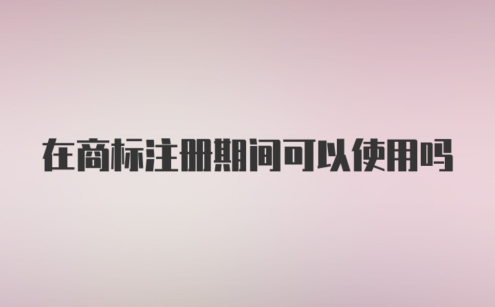 在商标注册期间可以使用吗