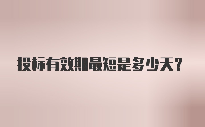 投标有效期最短是多少天？