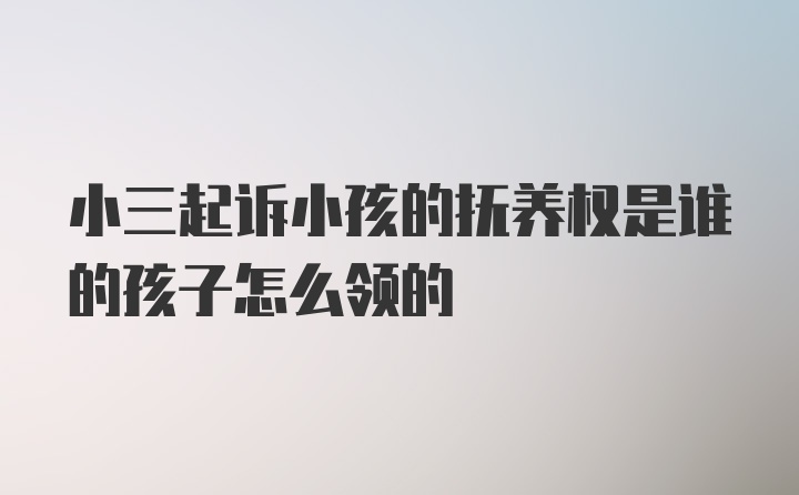 小三起诉小孩的抚养权是谁的孩子怎么领的