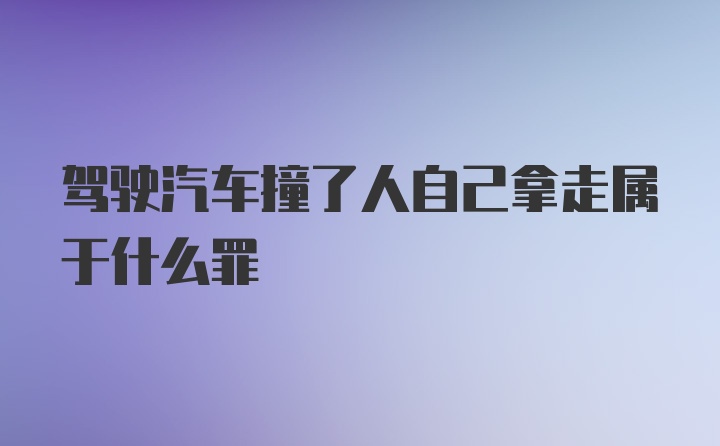 驾驶汽车撞了人自己拿走属于什么罪