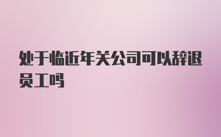 处于临近年关公司可以辞退员工吗