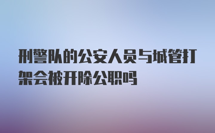 刑警队的公安人员与城管打架会被开除公职吗