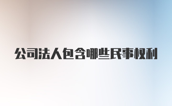 公司法人包含哪些民事权利