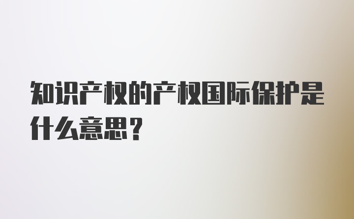 知识产权的产权国际保护是什么意思?