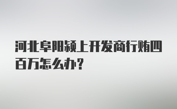 河北阜阳颍上开发商行贿四百万怎么办？