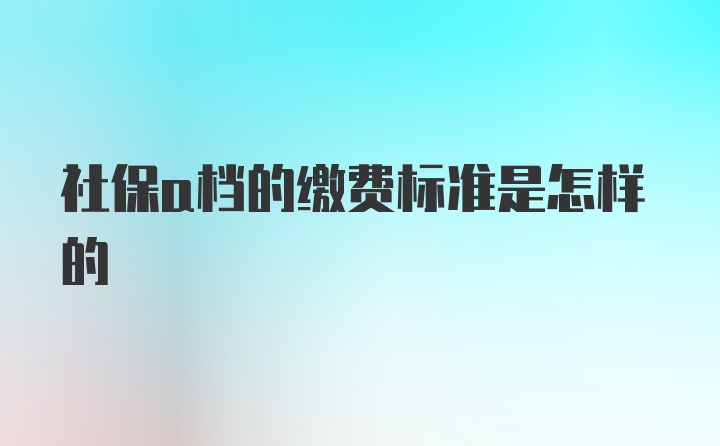 社保a档的缴费标准是怎样的