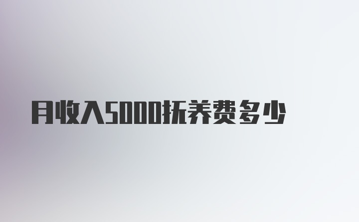 月收入5000抚养费多少