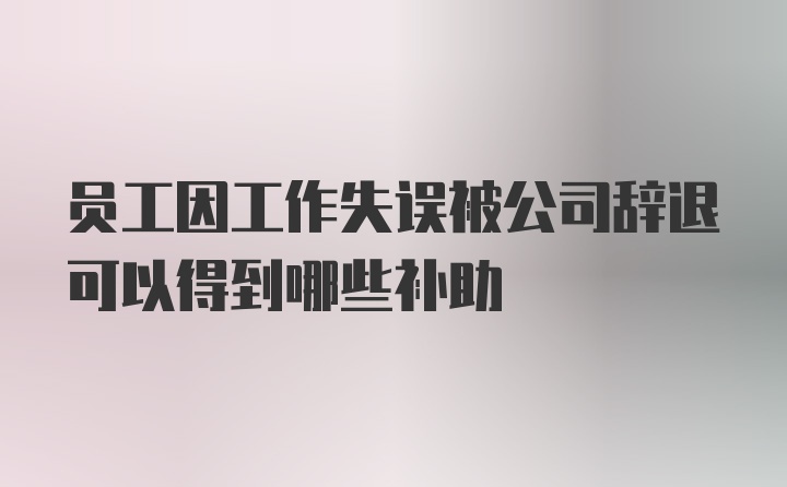 员工因工作失误被公司辞退可以得到哪些补助